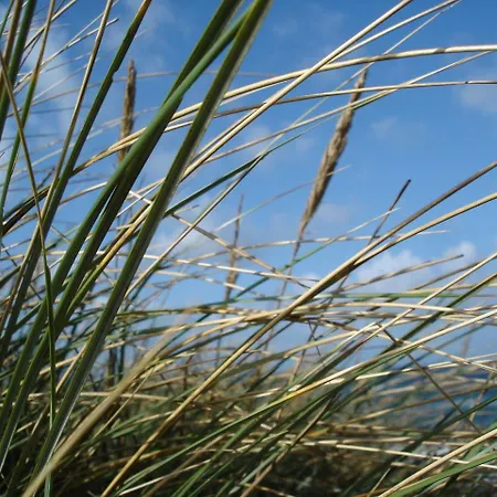 Duenenblick Doppelzimmer Leuchtturm