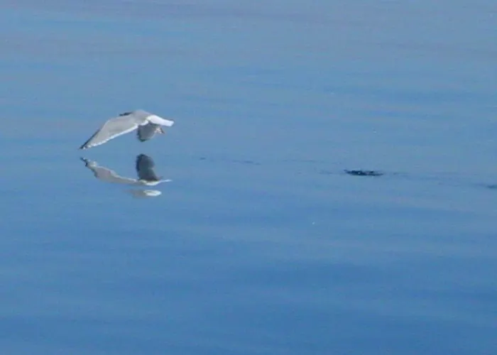 酒店 Duenenblick Doppelzimmer Leuchtturm *