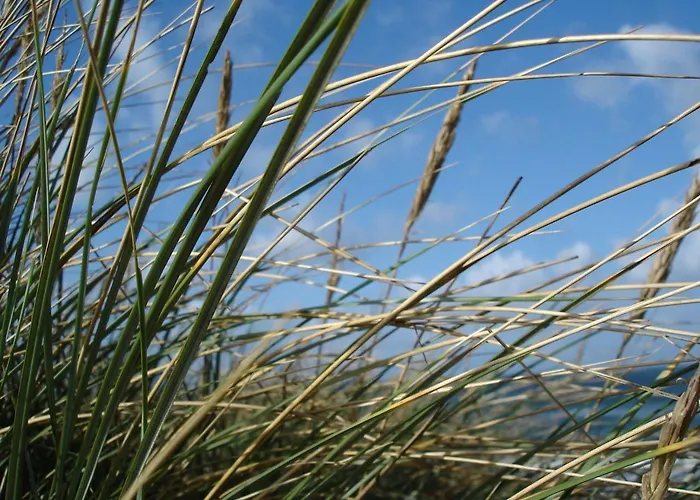 Duenenblick Doppelzimmer Leuchtturm